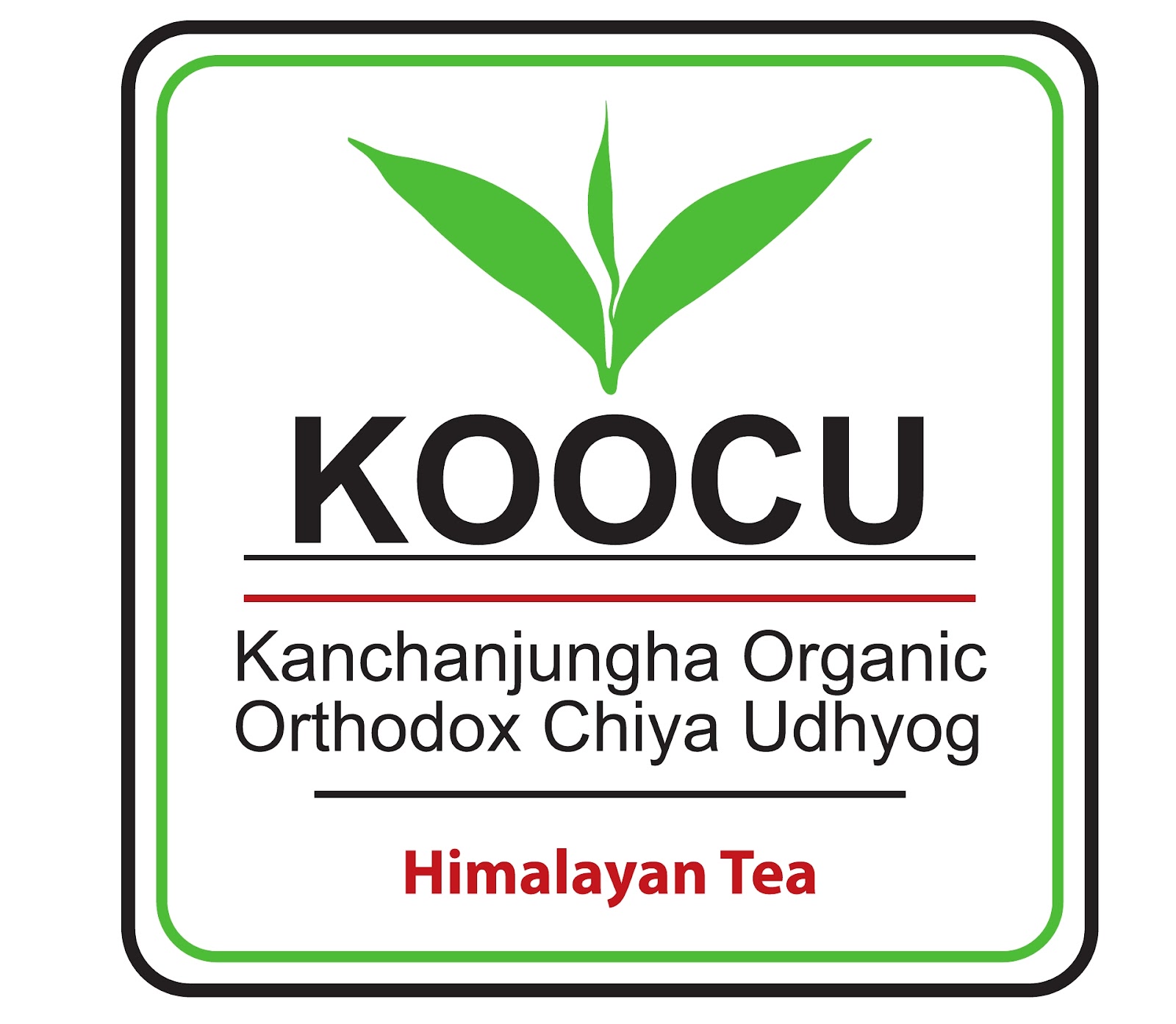 Kanchanjungha Organic Orthodox Chiya Udhyog Pvt. Ltd.